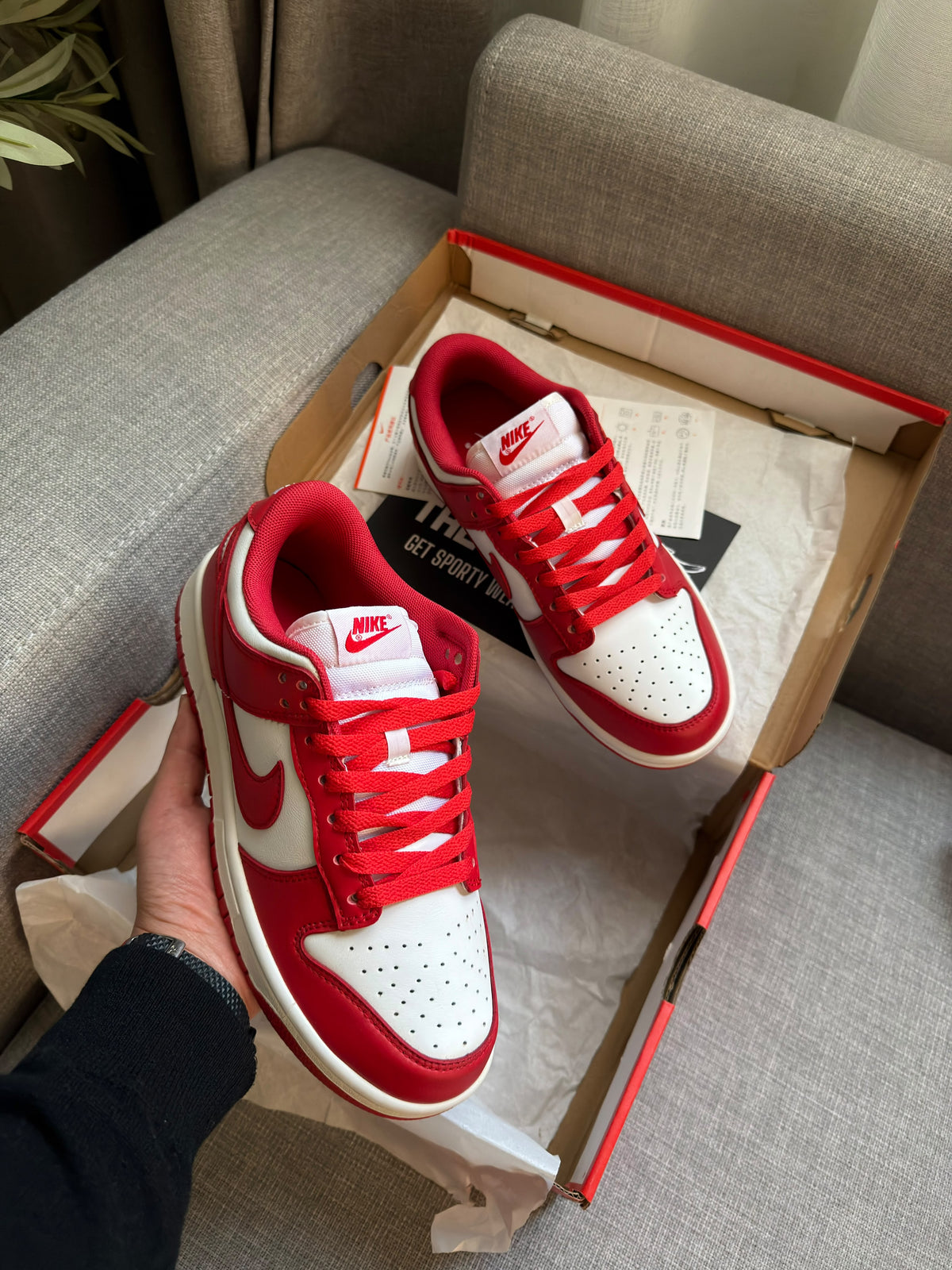 Nike Sb Dunk Low in White/Red University