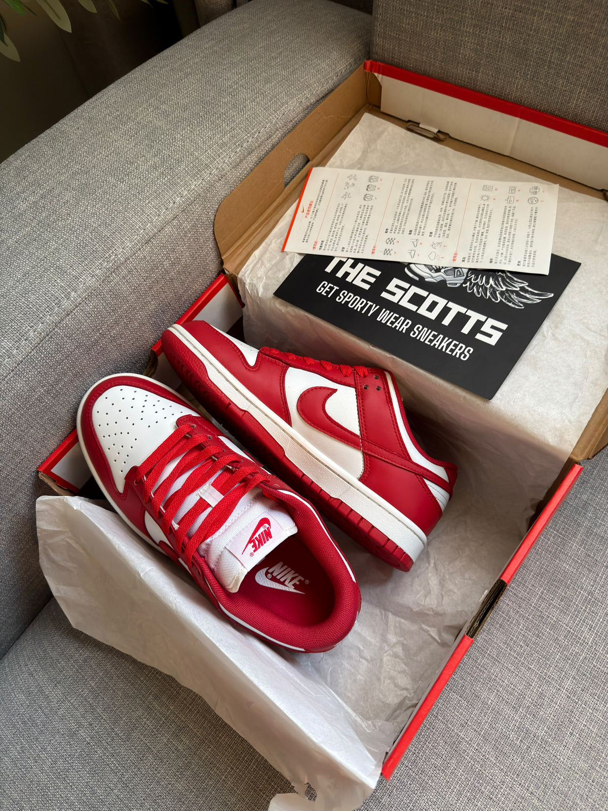 Nike Sb Dunk Low in White/Red University