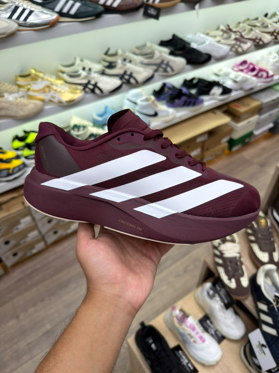 adidas Adizero EVO SL Shadow Red / Burgundy